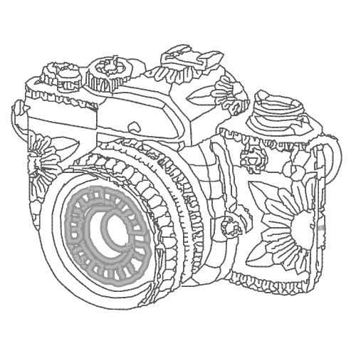 Zentangle - Camera